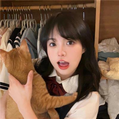 虹猫蓝兔勇者归来