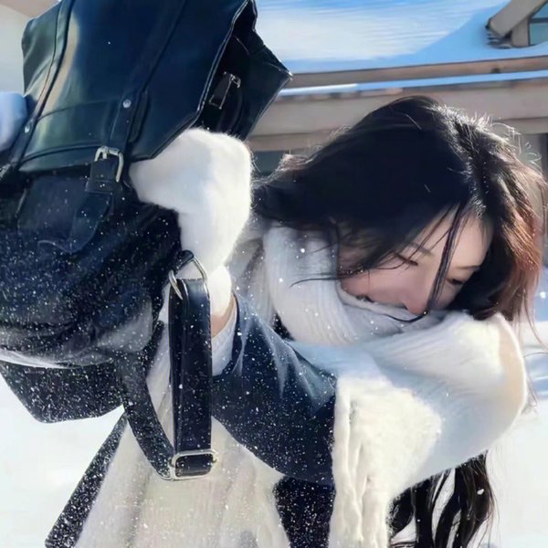纸房子：全球热潮