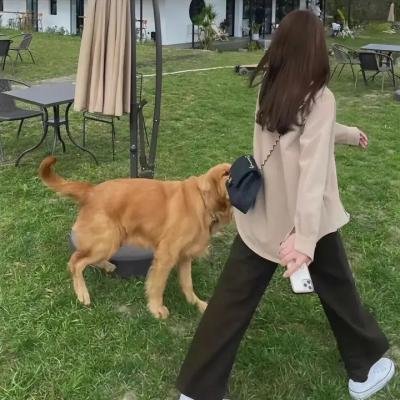 求爱马拉松